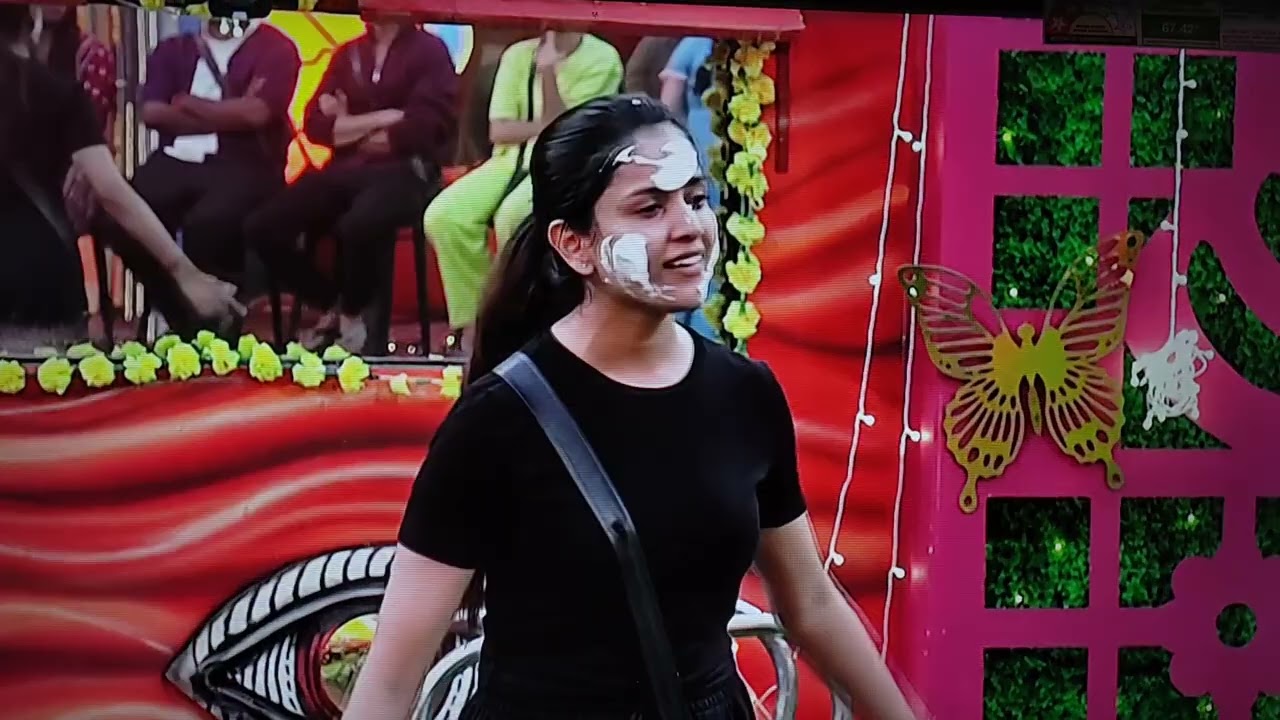 Bigg boss 9  Nomination