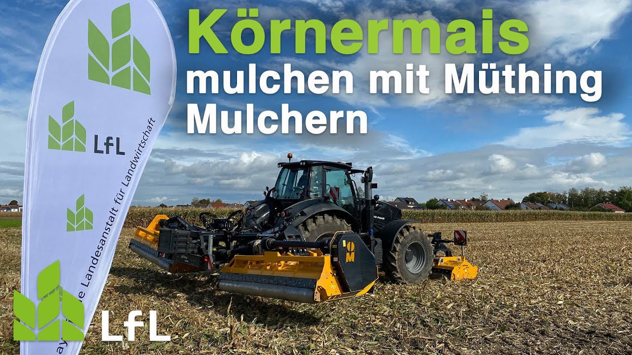 Körnermais mulchen mit dem MU-PRO/F Vario 860 und MU-PRO Vario 280