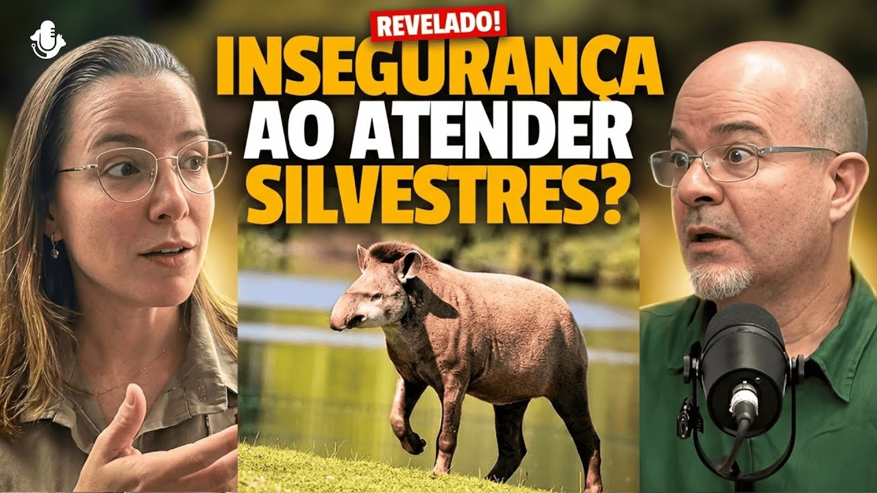 Omissão de Socorro na Veterinária? O Que Acontece se Você Negar Atendimento?