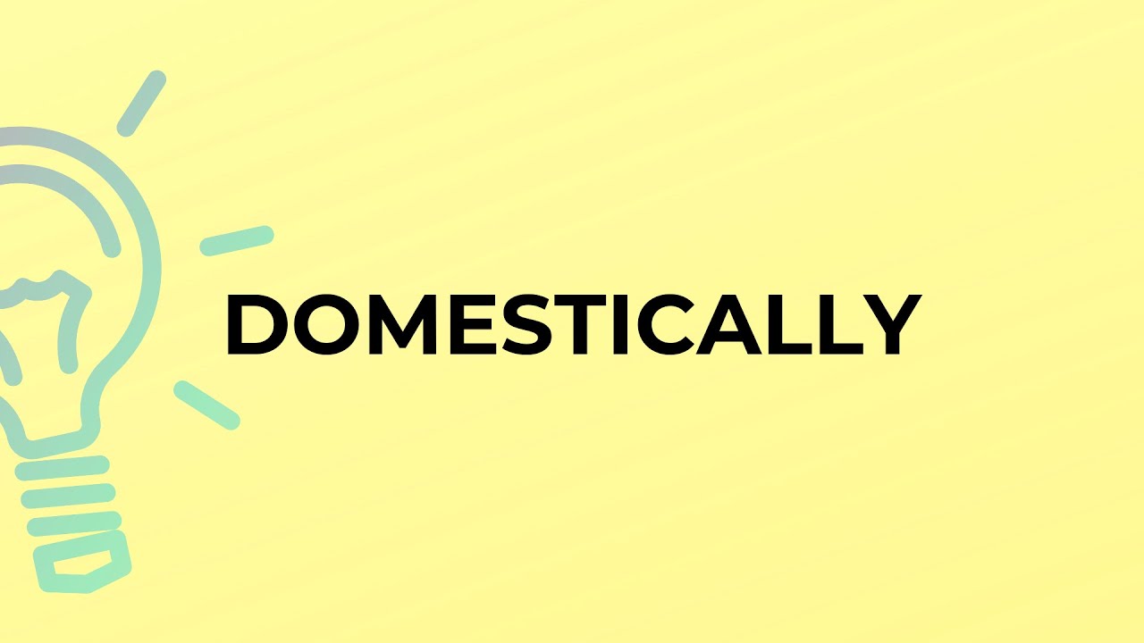 What is the meaning of the word DOMESTICALLY?