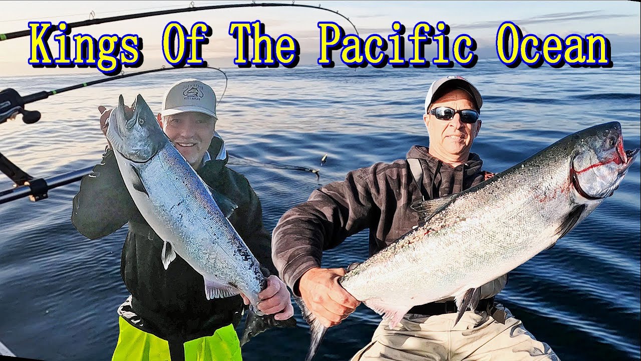 King Salmon Fishing Off The Washington Coast