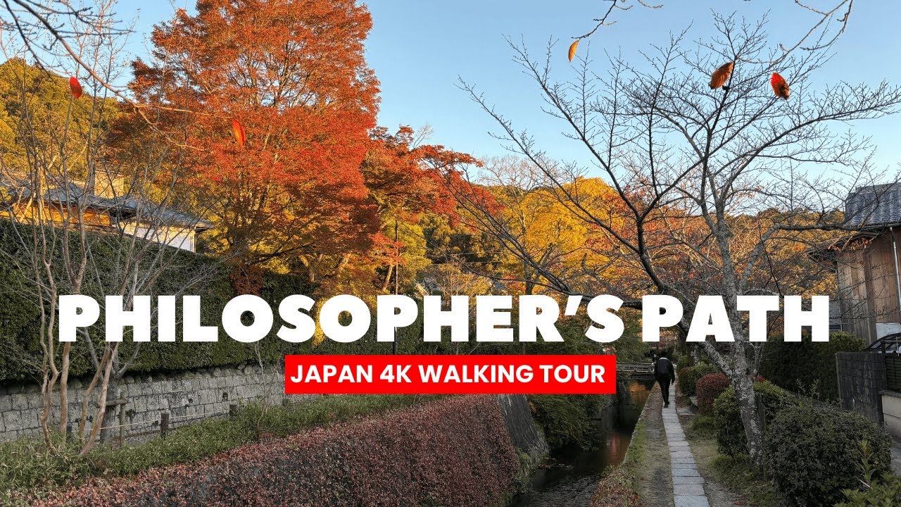 KYOTO, JAPAN Walking Tour | Philosopher's Path on a Sunny Day - 4K 60FPS