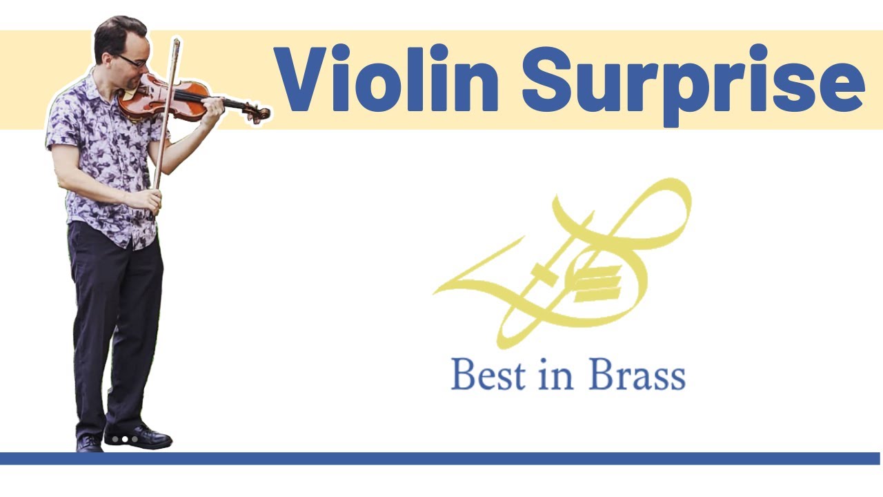 Birthday Surprise! Solo Violinist Shocks Birthday Girl with Beautiful Music