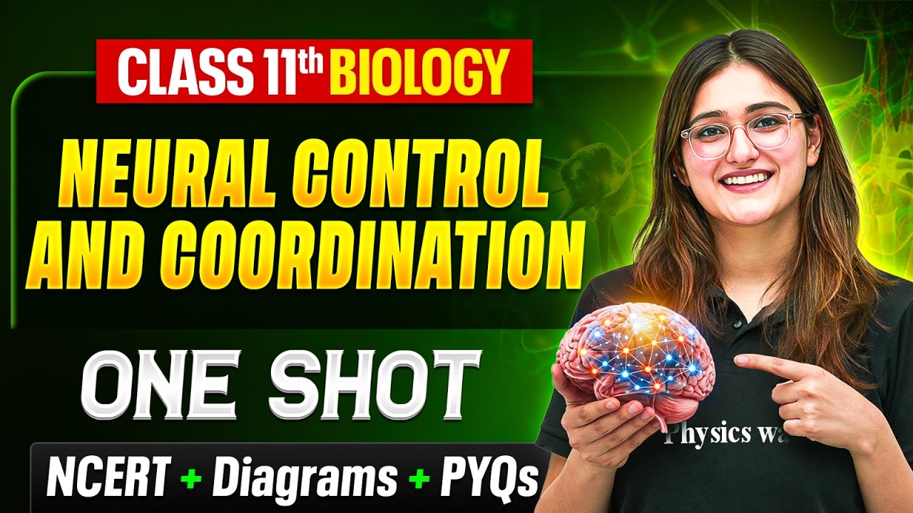 Neural Control And Coordination Class 11 One Shot 🔥 | NCERT + Diagrams | By Aarushi Ma'am
