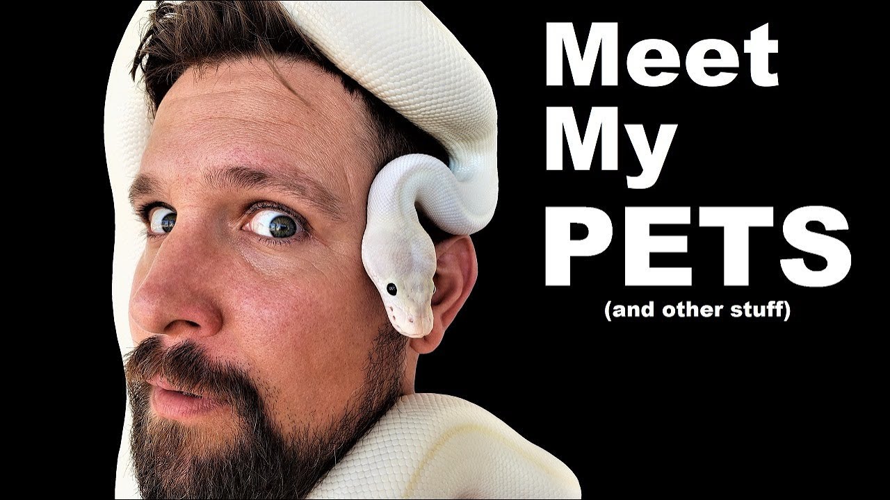 Thinkercon,  Meet My Pets and Mail-time!