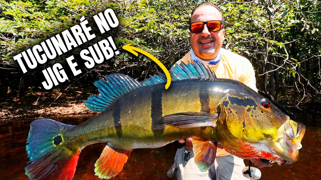 Rio Itapara - Pescaria de Tucunaré no Jig e Sub #part3