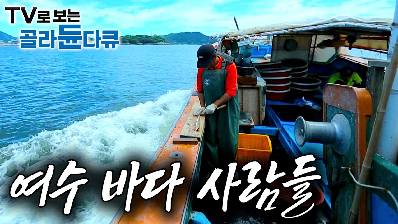 배 한 번 타고 나가면 잡아야 돌아온다┃잡히는 대로 일단 썰어서 밥부터 차리는 여수 바다 사람들┃2박 3일 여수 갯장어 잡이┃한국기행┃#골라듄다큐