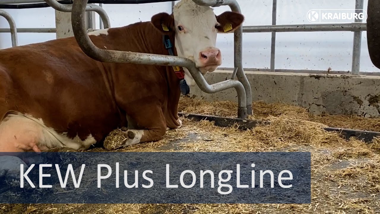 KEW Plus LongLine Матрас для коров / резиновое покрытие для стойл KEW Plus LongLine в виде рулона