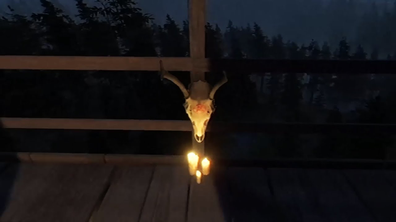 A FLORESTA QUE ESCONDE UM CULTO