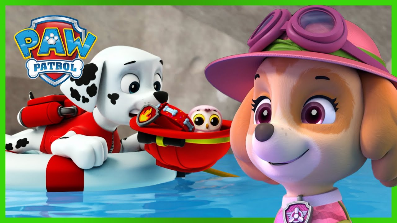 Mais de 1 hora de resgates de Skye e Marshall - Patrulha Pata PAW Patrol Epis&oacute;dio Portugu&ecirc;s