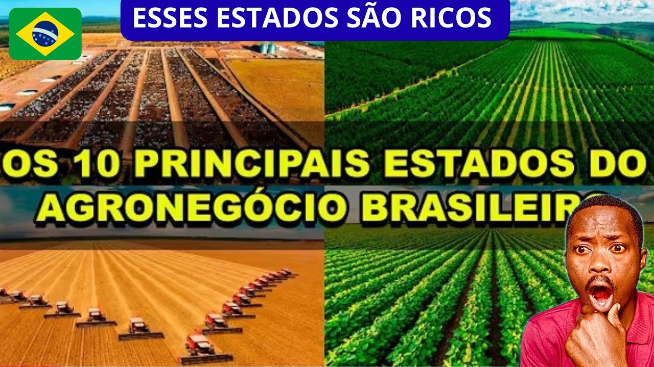 Africano Reage Os 10 Principais Estados do Agronegócio Brasileiro 🇧🇷#brasil #economia 