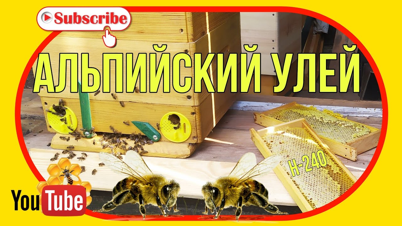 Альпийский улей. Корпус на Н-240. Рамки