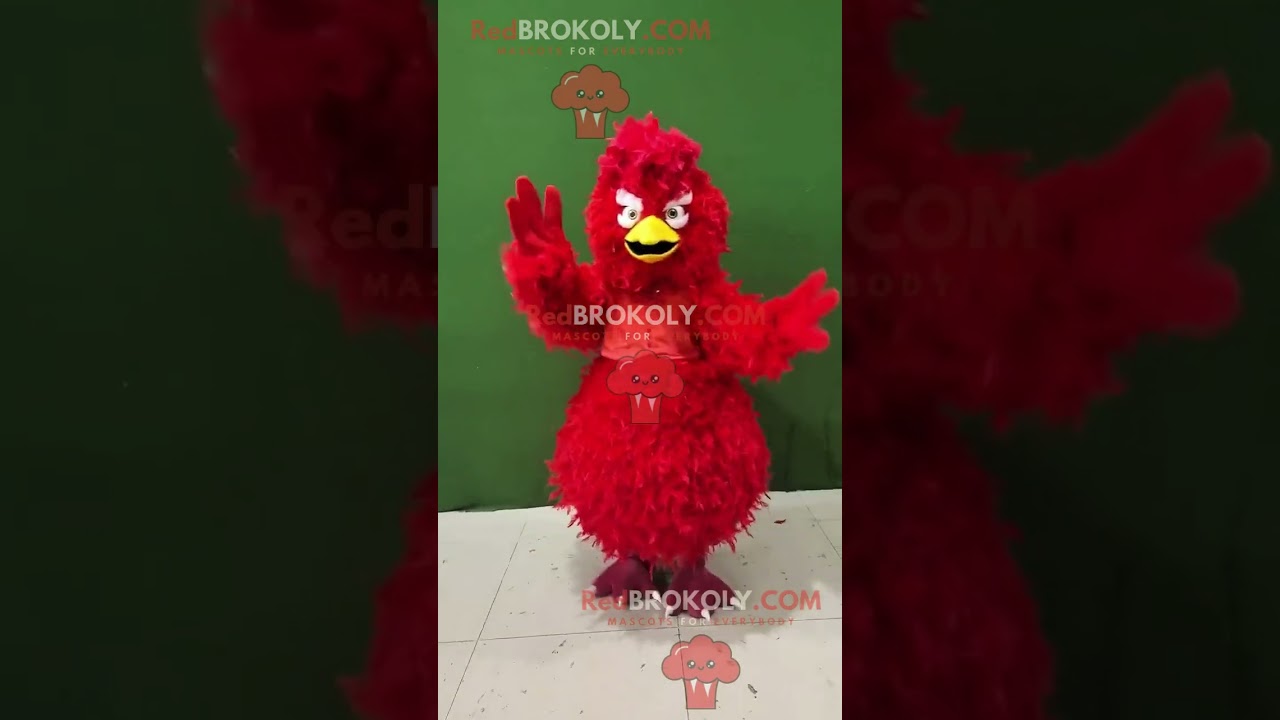 Red rooster man REDBROKOLY mascot in a red body and yellow mouth with a sharp feet nails