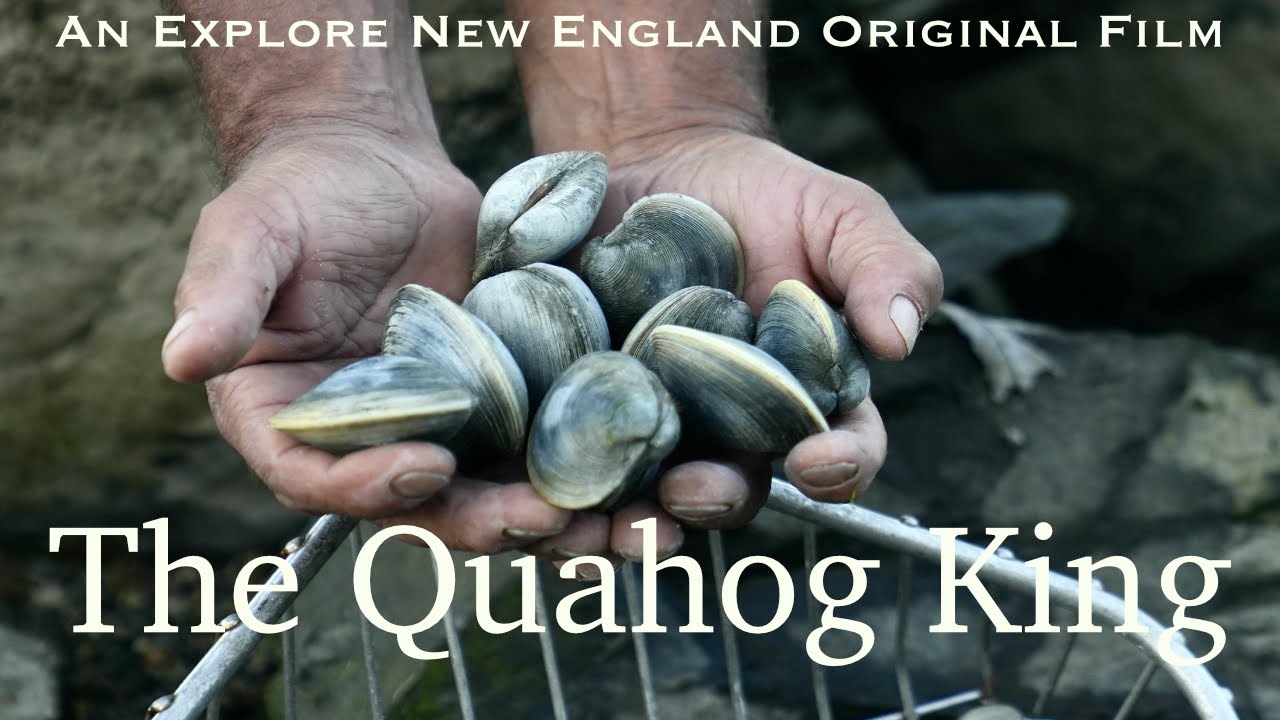 The Quahog King