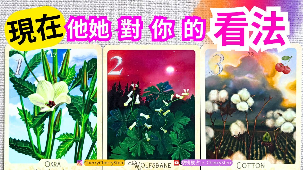 🍒 💝現在, 他她 對你的感覺, 對你的看法 ｜他她 是喜歡你？愛著你的嗎？｜怎麼看你們的關係｜ ♥️ 請開啟字幕 🟣無時間限制占卜 🟡  #塔羅 #占卜 #字卡 #tarot #oracle