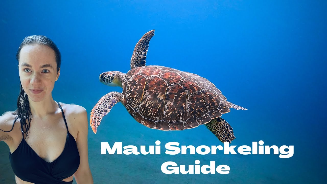 Top Maui Snorkeling Spots (With Sea Turtles! 4K)