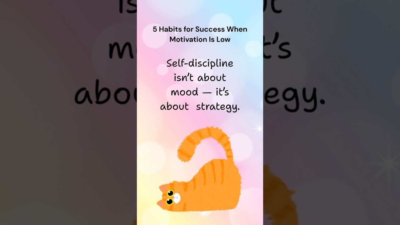 These 5 habits for success help you stay disciplined✨  