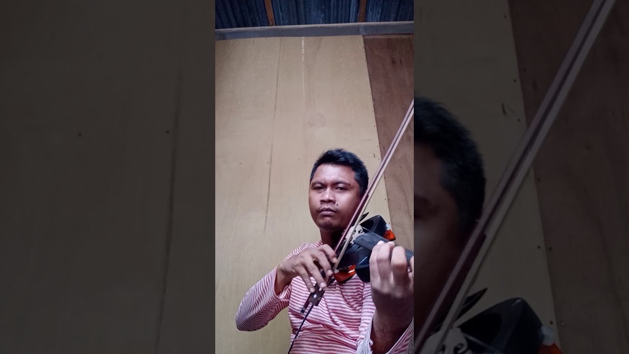 ROY VIOLIN - DIA (VIOLIN COVER)