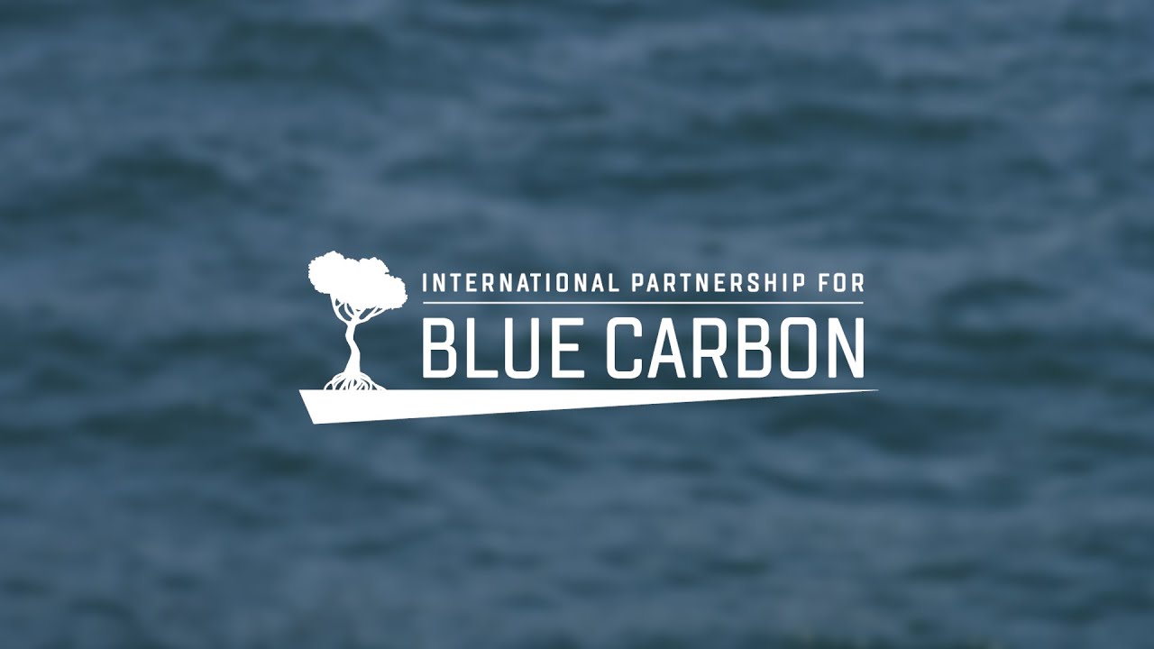 Blue carbon as a potential natural climate change solution