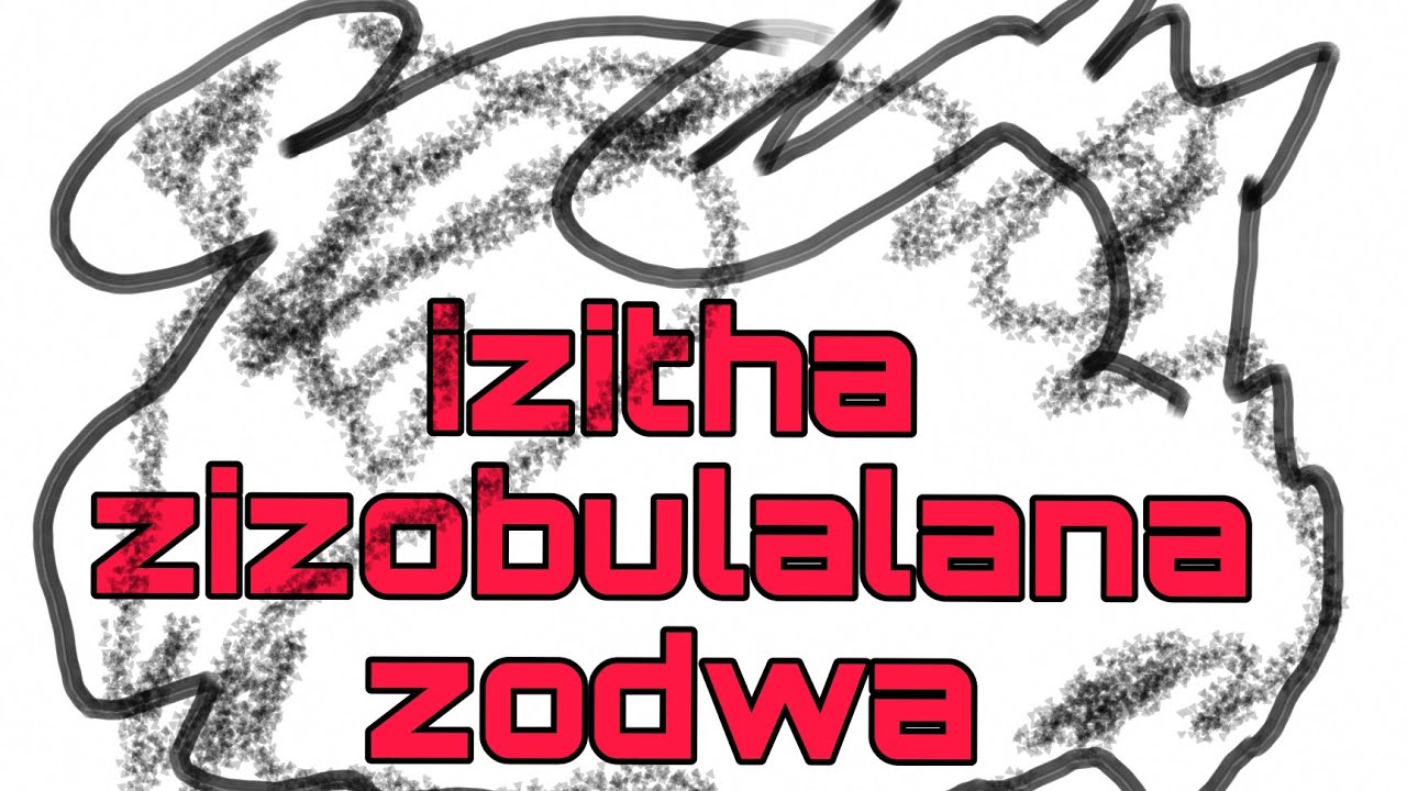 IZITHA AZIBULALANE ZODWA NAYI INTELEZI