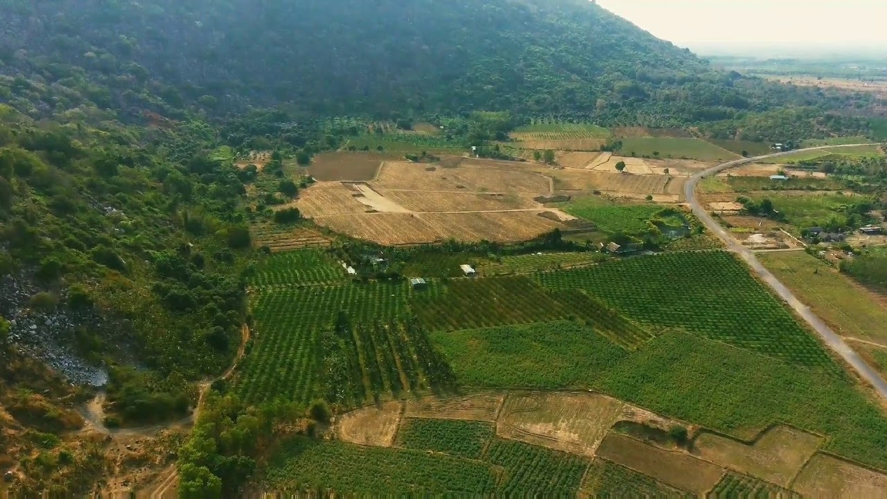 Farm nature beauty with relaxation music, nature of Beauty & Beautiful Nature