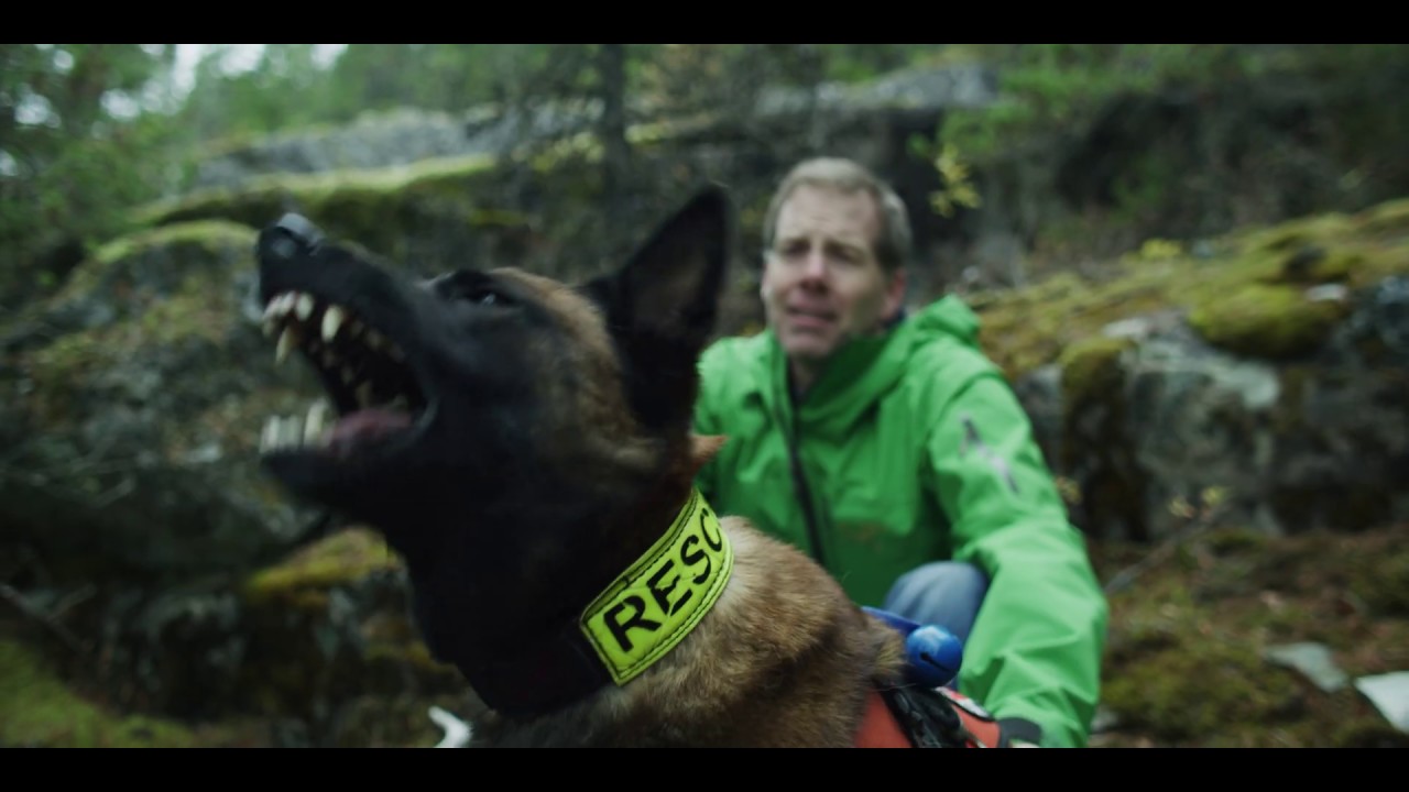 BC Search Dog Association “We Will Find You”