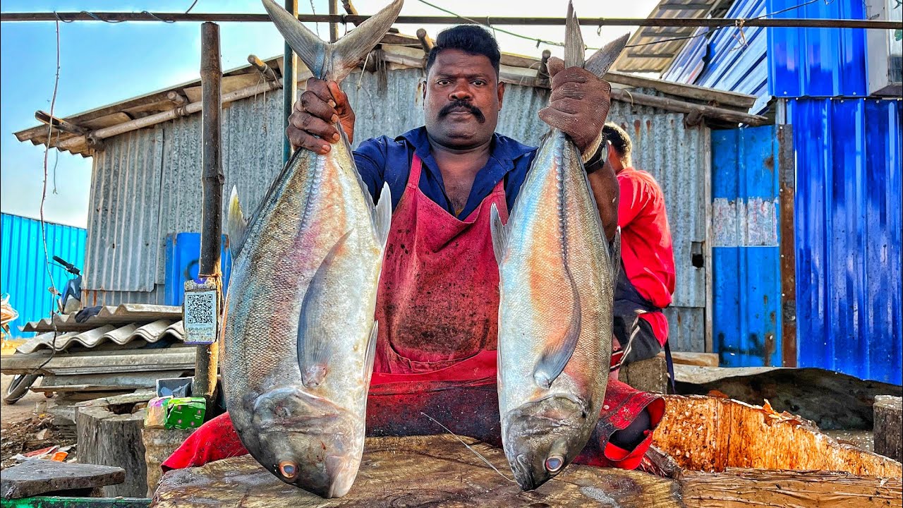 KASIMEDU 🔥 SPEED SELVAM | BIG SIZE TREVALLY FISH CUTTING VIDEO | 4K VIDEO | KM FISH CUTTING 