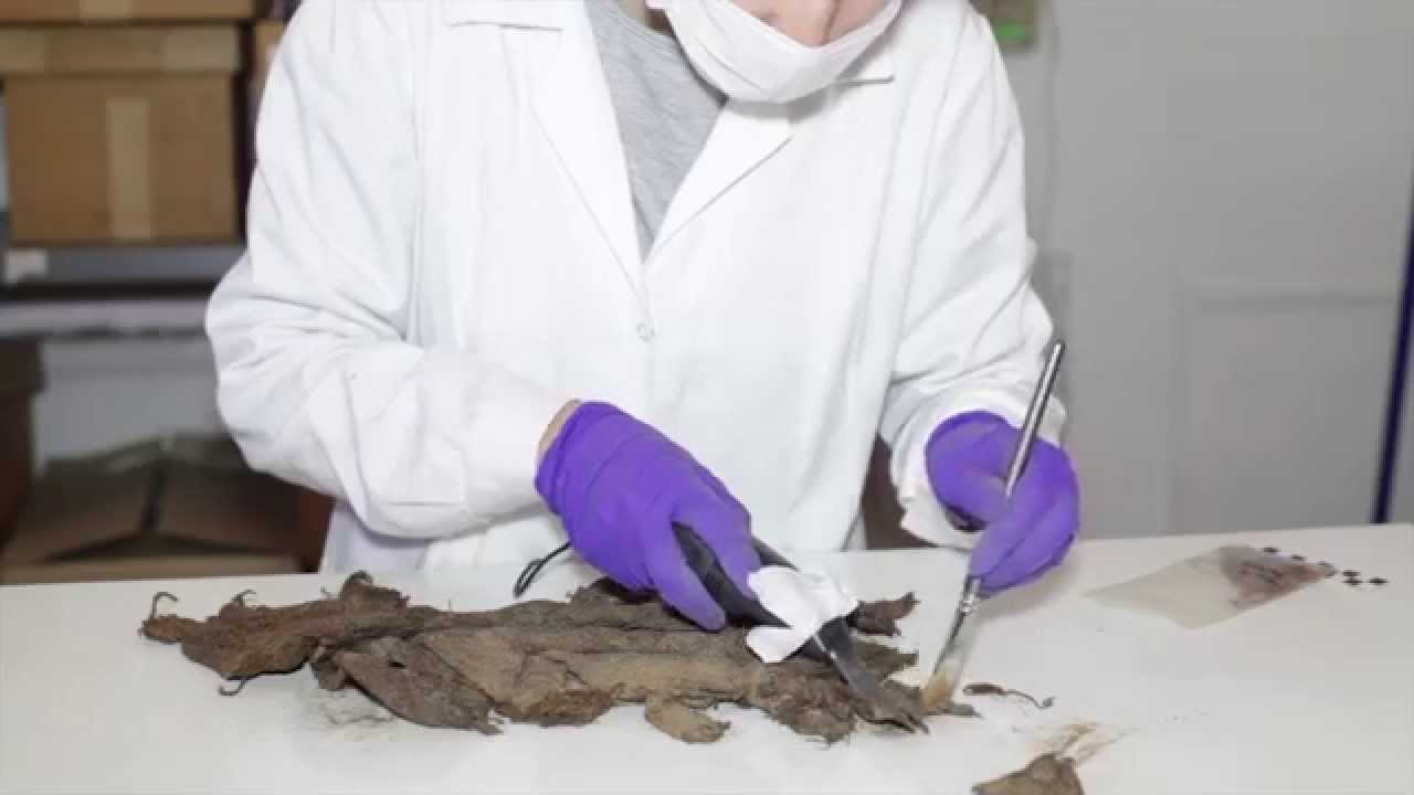 Técnicas para la Conservación de la Colección de Textiles Arqueológicos del Museo de Antofagasta