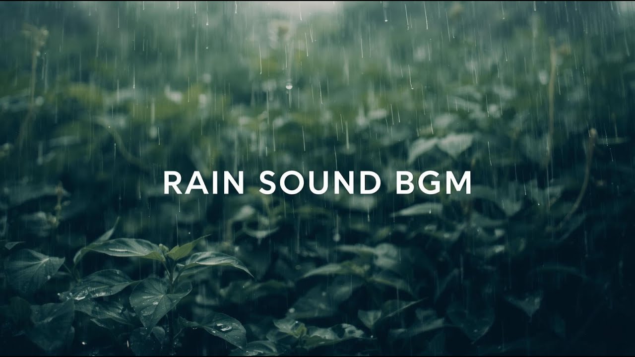 【無音より落ち着く】静かに降り続く雨音 1時間｜睡眠・集中・作業用BGM