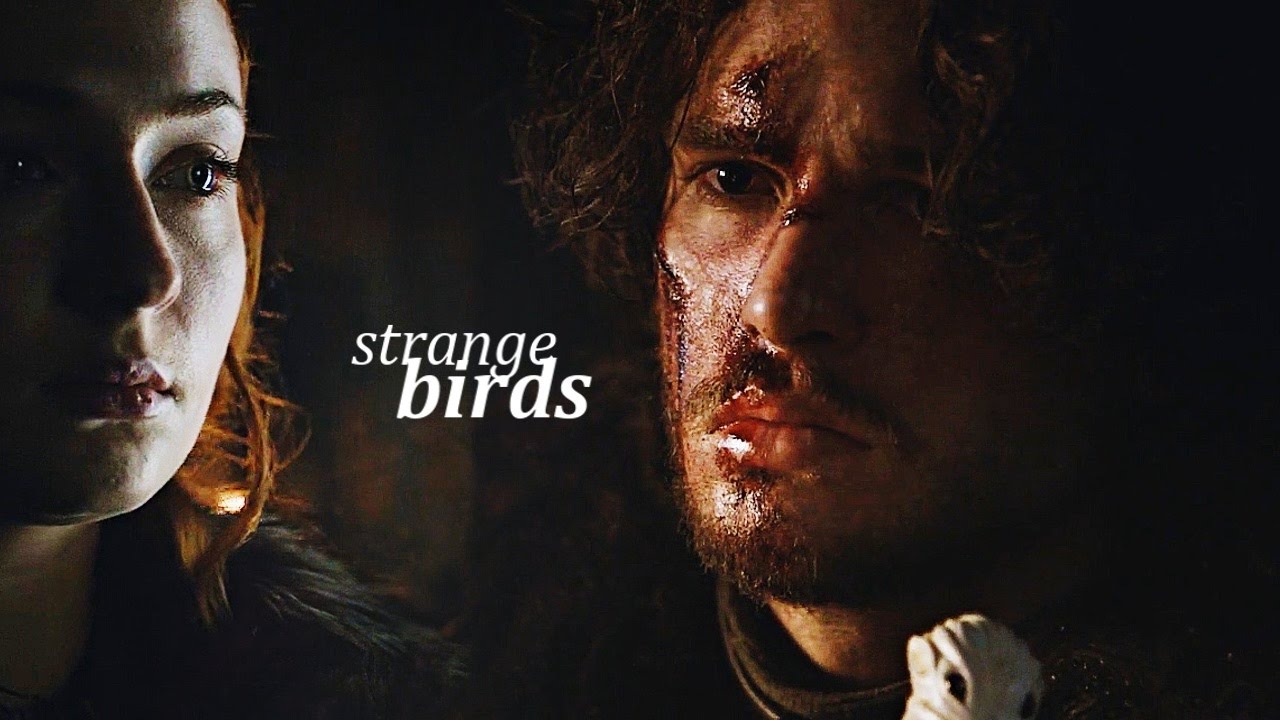 Jon & Sansa | Странные птицы