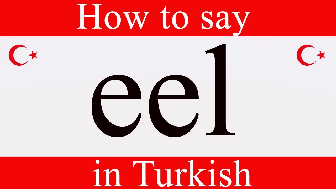 Learn Turkish | How to say 