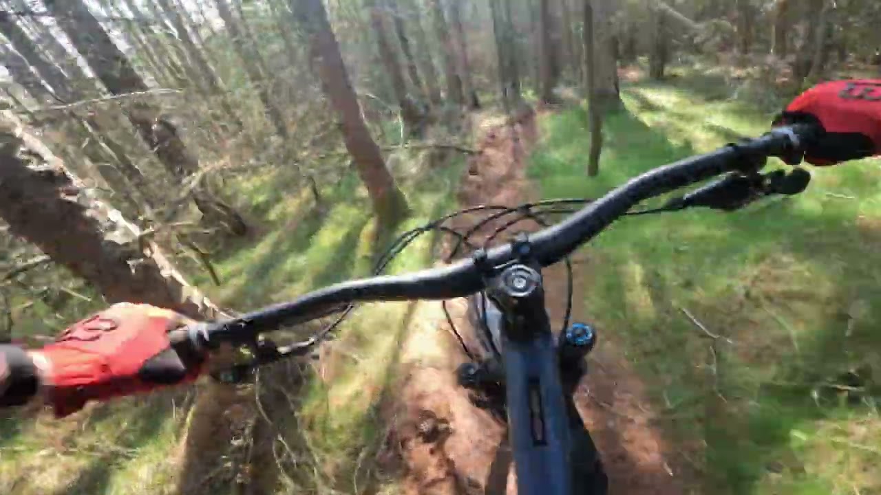 Waymurr Ridge into Dalau Lama - Bennachie MTB