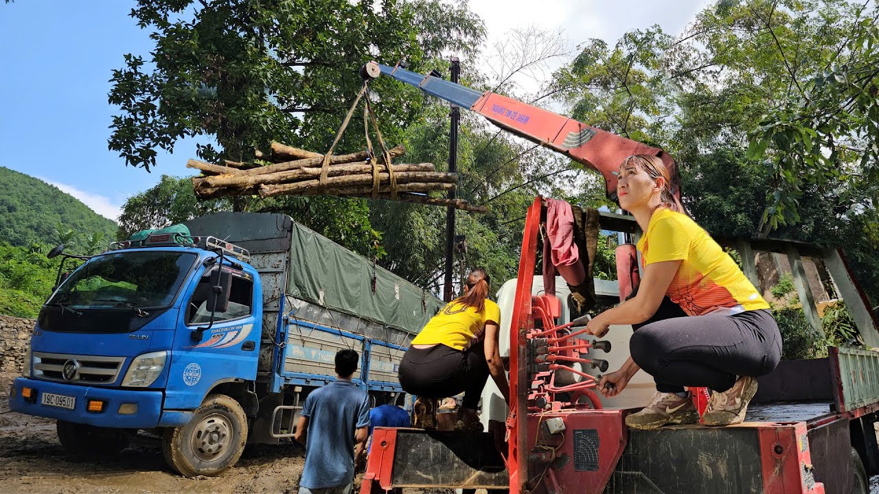 Tran Dieu Linh and Crane Operator Job: Control The Crane To Transport Giant Trees - Daily Life