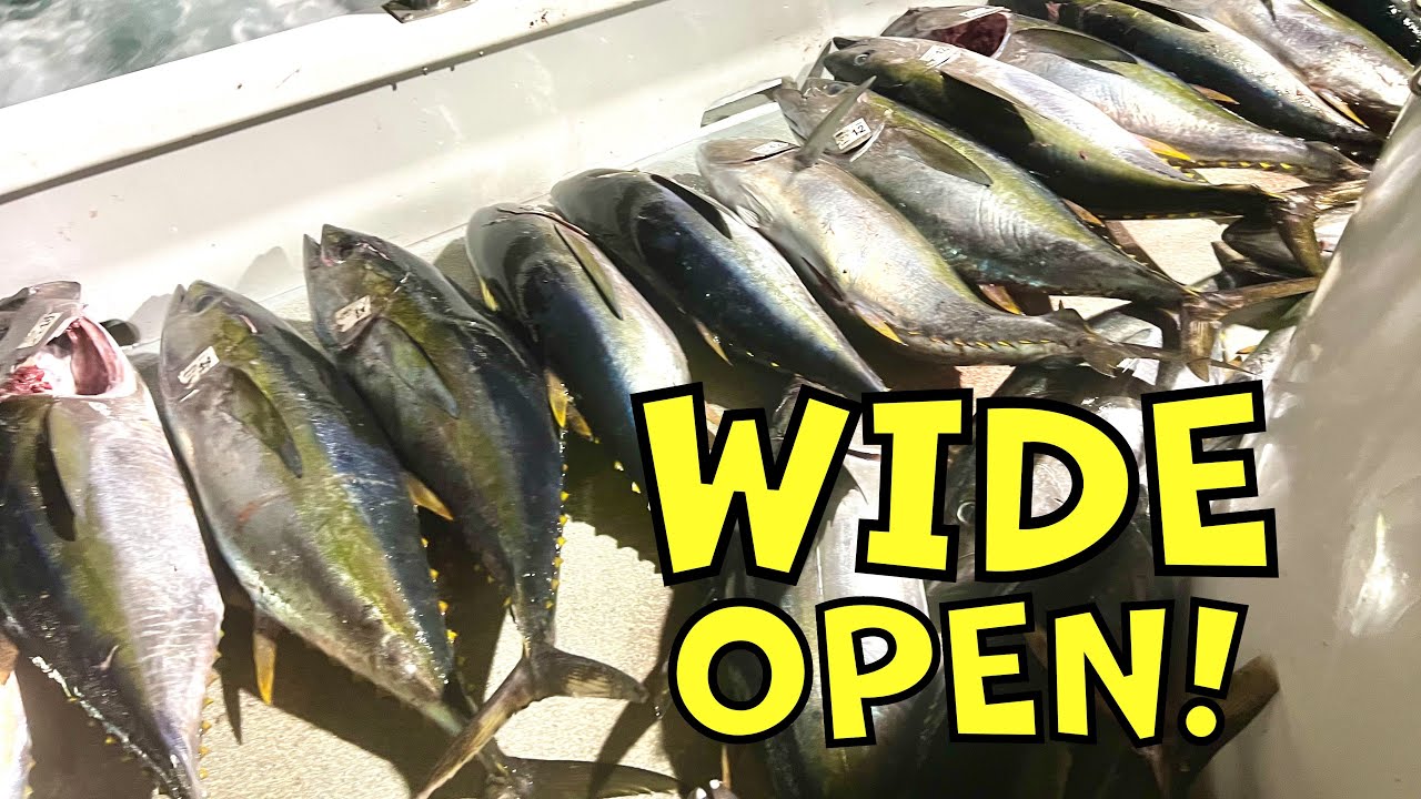 ШИРОКИЙ ОТКРЫТЫЙ лов тунца в Южной Калифорнии [Pride Sportfishing]