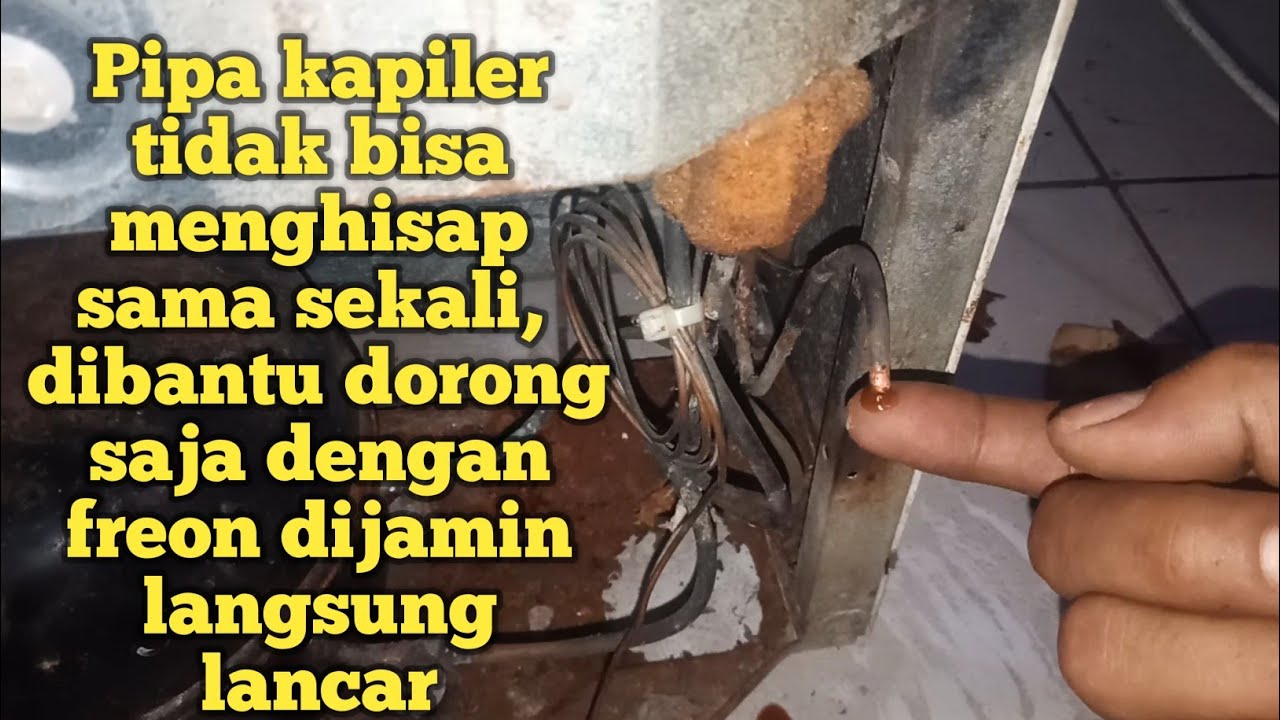 cara flushing pipa kapiler kulkas 2 pintu yang buntu total