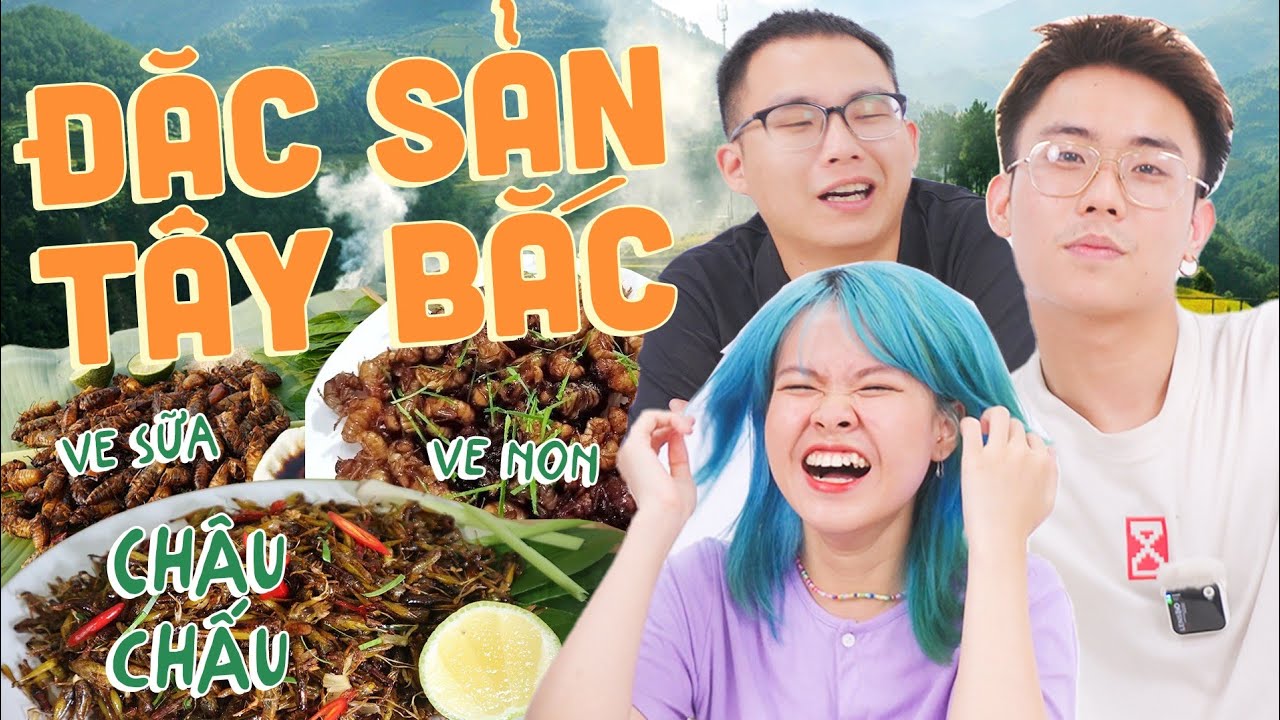 Team UT: Méo mặt ăn côn trùng Tây Bắc