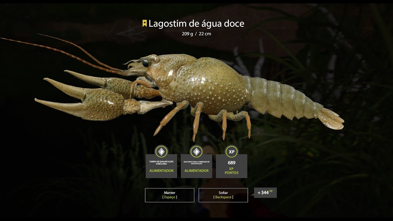 Russian Fishing 4, FRESHWATER CRAYFISH 209Gr WINDING RIVULET