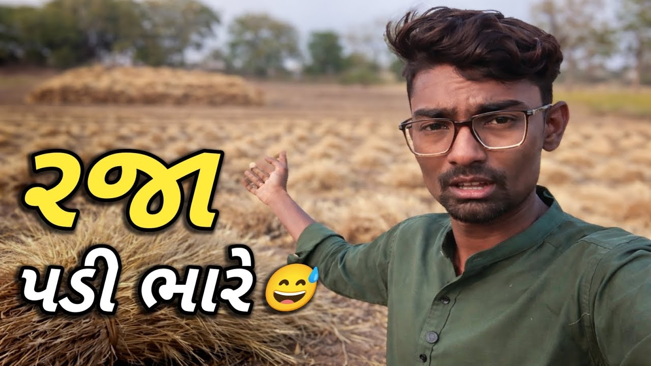 શુક્રવારની રજા પડી ભારે 😅 આખા ખેતરના ઘઉં ભેગા કર્યા! 🌾