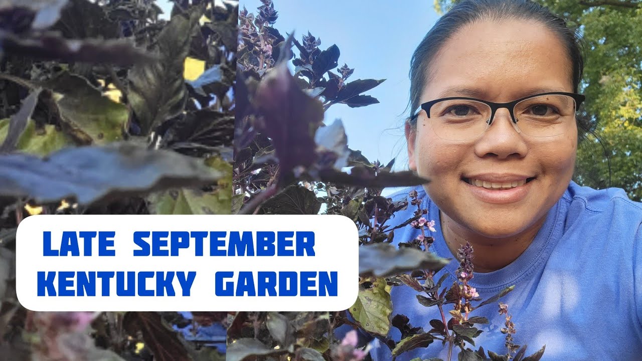 What Plants Grow in Late September in Backyard Garden in Kentucky
