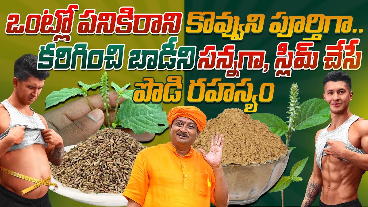ఒంట్లో పనికిరాని కొవ్వుని పూర్తిగా కరిగించి బాడీని సన్నగా, స్లిమ్ చేసే పొడి రహస్యం | | Dr. Ravivarma