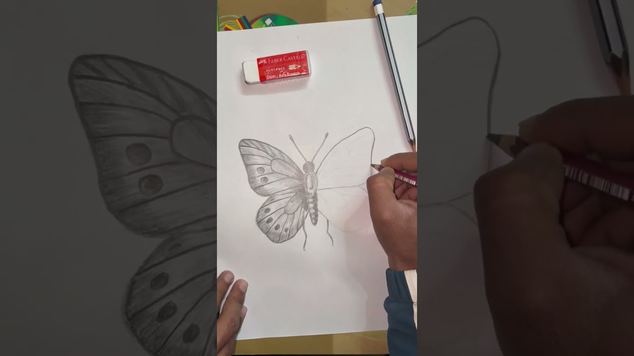Sketch Of Butterfly 