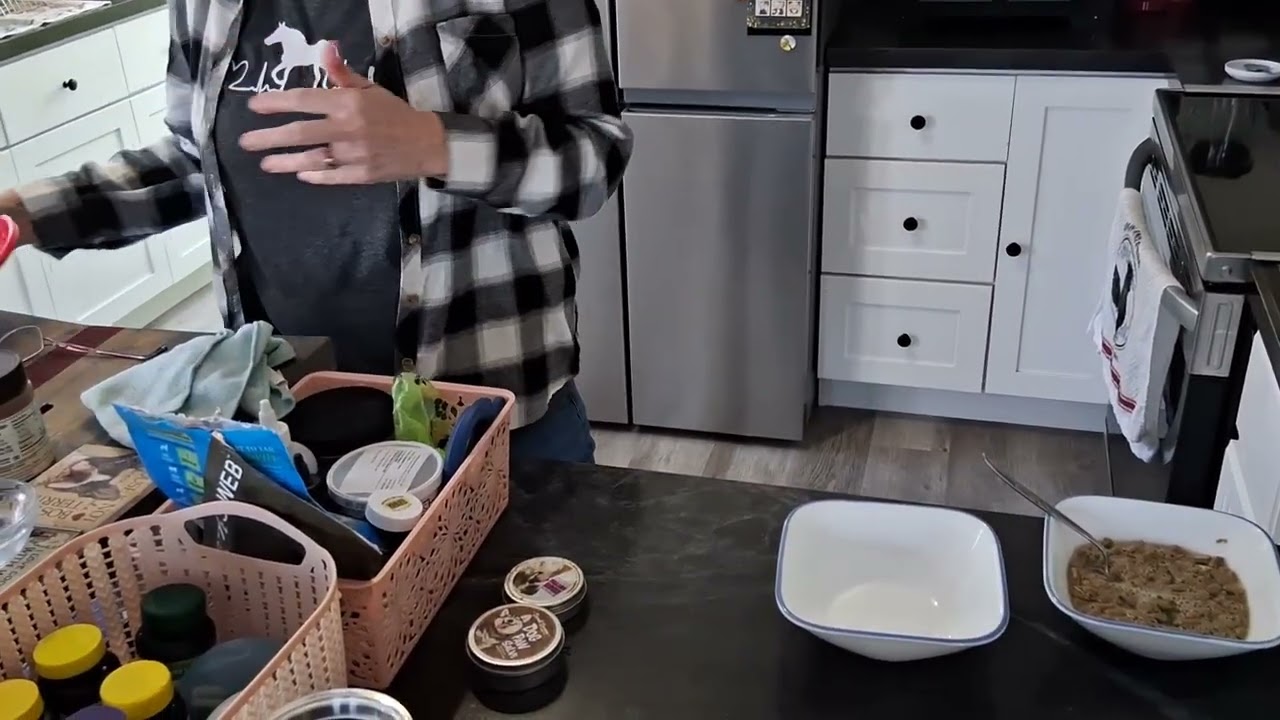 Dog Feeding Video 2
