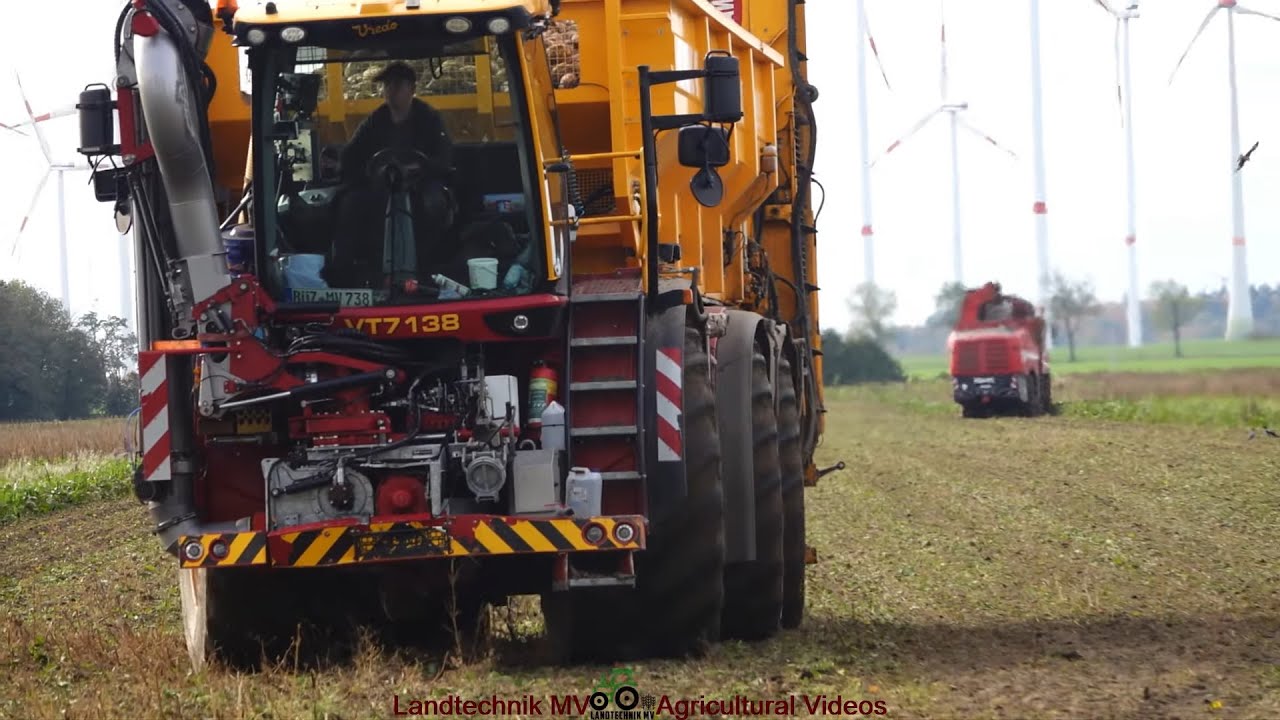 Grimme - Vredo / Rübenernte - Harvesting Sugarbeets  2023