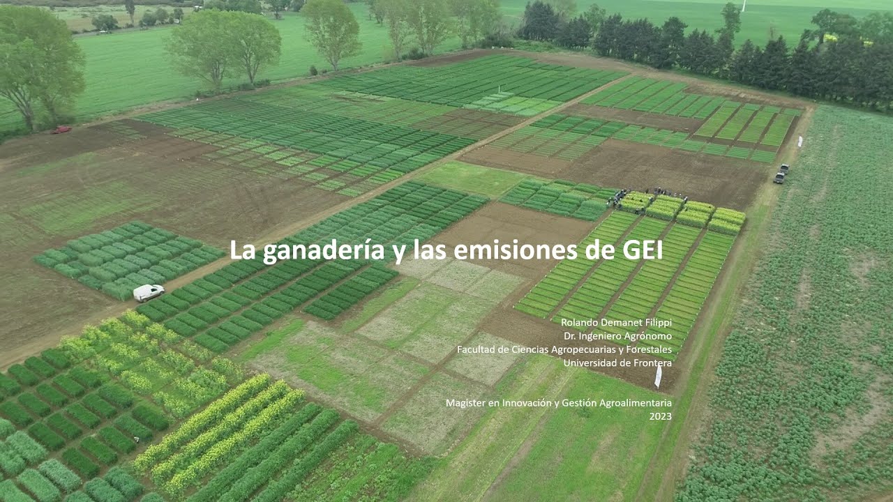 La ganadería y las emisiones de GEI