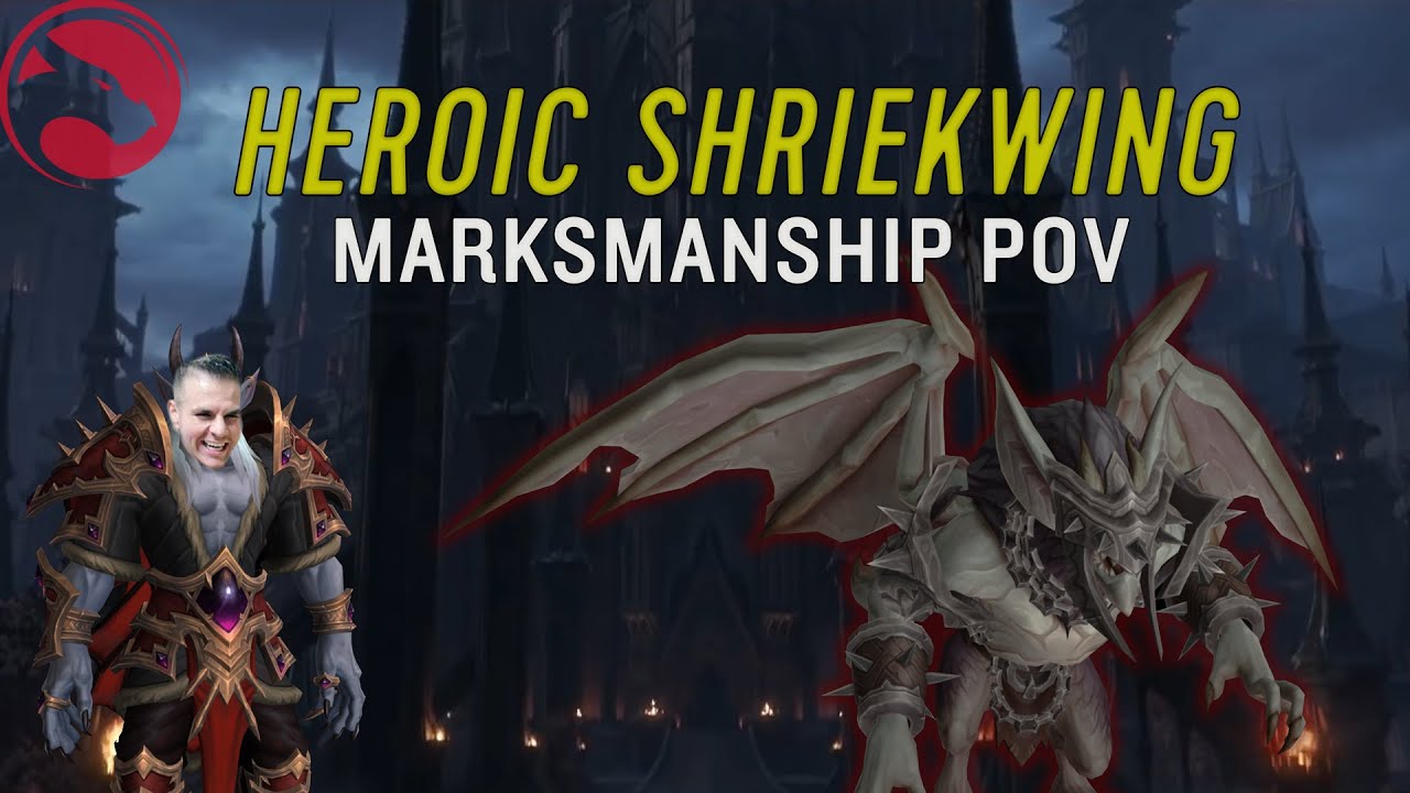 Echo Gingi, Castle Nathria Heroic Shriekwing - Marksmanship Hunter PoV