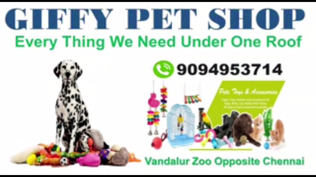 Every Things We Need One Roof _ Giffy Exclusive Pet Store_ SSM Nagar _ 9094953714