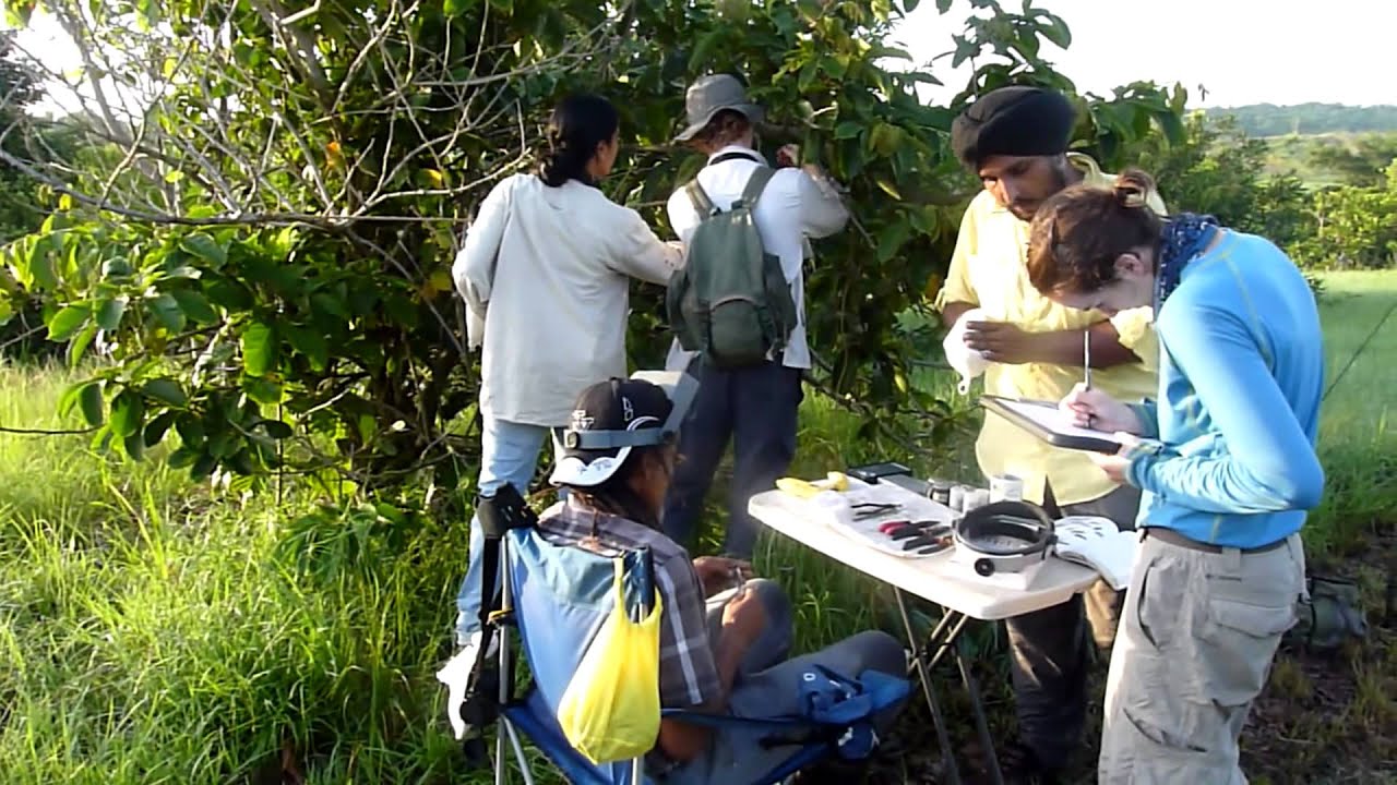 Nariva Swamp BioBlitz 2014