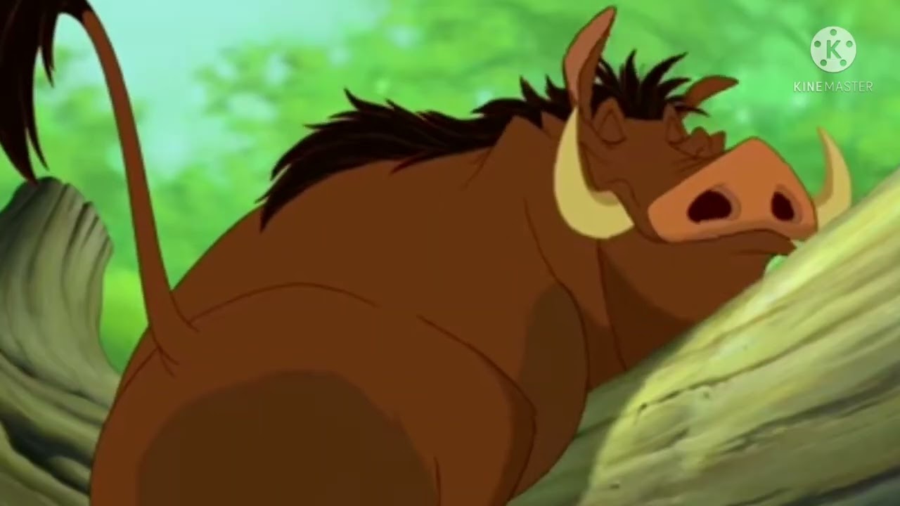 Simba Vs Sabor