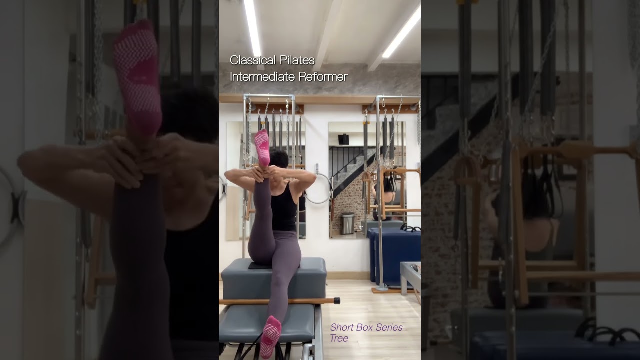 Classical Pilates Intermediate Reformer Sequence // TOOKTA YOGA PILATES