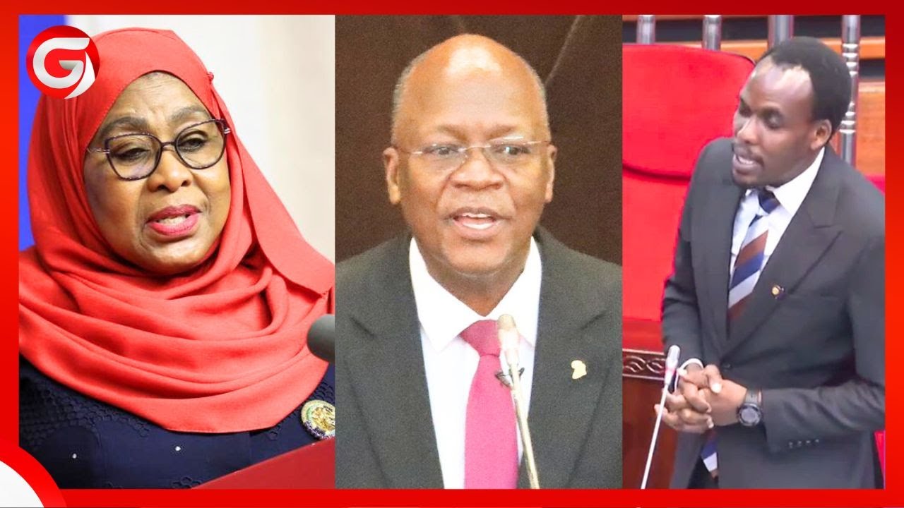 ''RAIS SAMIA ni CHAGUO LA MUNGU - SISI WABUNGE TUMEPITISHWA na MUNGU PIA'' - MBUNGE KIJA LIMBU....